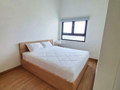 Topaz Twins, Vietnam Topaz Twins, Vietnam