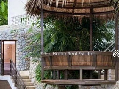 Cozy Jungle view studio for Rent, Phuket, Thailand Cozy Jungle view studio for Rent, Phuket, Thailand