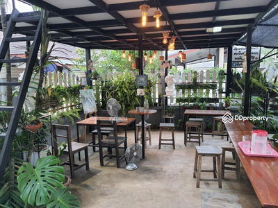 AHD1621, Chiang Mai, Thailand AHD1621, Chiang Mai, Thailand