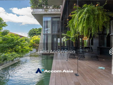 Private Swimming Pool | 4 Bedrooms House for Sale and Rent in Sukhumvit, Bangkok near BTS Ekkamai, Bangkok, Thailand Private Swimming Pool | 4 Bedrooms House for Sale and Rent in Sukhumvit, Bangkok near BTS Ekkamai, Bangkok, Thailand