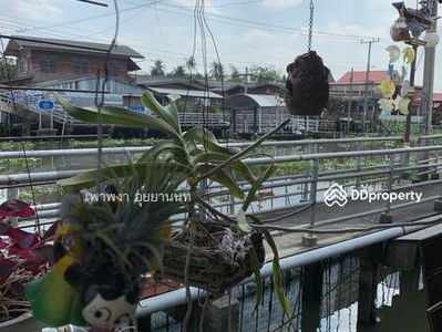 Traditional Thai house at Klong Bangkoknoi, Bangyai Nonthaburi, Nonthaburi, Thailand Traditional Thai house at Klong Bangkoknoi, Bangyai Nonthaburi, Nonthaburi, Thailand