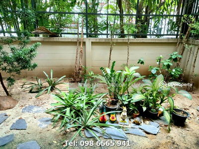 Town House, Bangkok, Thailand Town House, Bangkok, Thailand