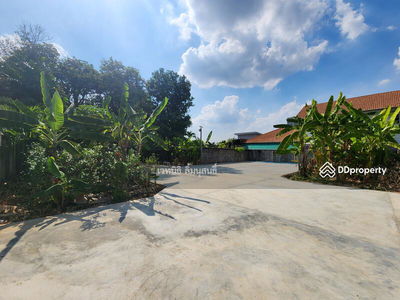 Land 290, Bangkok, Thailand Land 290, Bangkok, Thailand