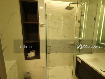 Siamese Exclusive Queens, Bangkok, Thailand Siamese Exclusive Queens, Bangkok, Thailand