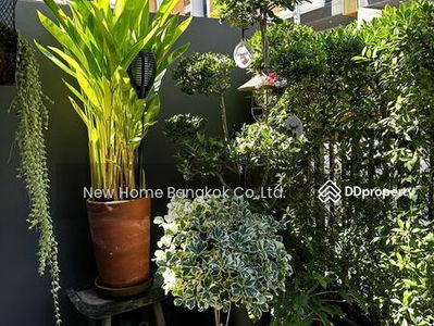 Homey Style Townhouse for Rent in Pattanakarn, Bangkok, Thailand Homey Style Townhouse for Rent in Pattanakarn, Bangkok, Thailand