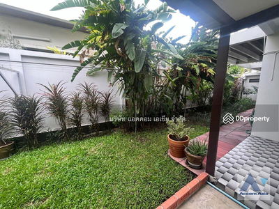 Garden, Pet friendly | 3 Bedrooms House for Sale and Rent in Sukhumvit, Bangkok near BTS Thong Lo, Bangkok, Thailand Garden, Pet friendly | 3 Bedrooms House for Sale and Rent in Sukhumvit, Bangkok near BTS Thong Lo, Bangkok, Thailand