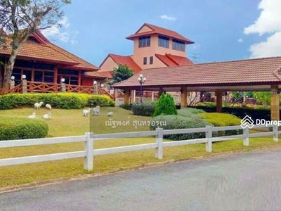 Guppy Tree Tunnel, Pak Chong, Nakhon Ratchasima, Thailand Guppy Tree Tunnel, Pak Chong, Nakhon Ratchasima, Thailand