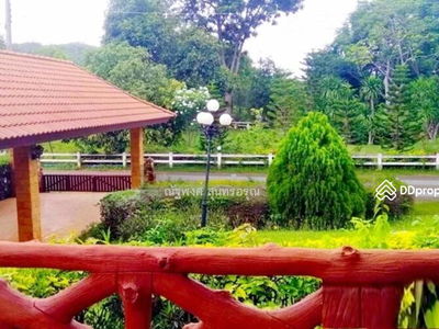 Guppy Tree Tunnel, Pak Chong, Nakhon Ratchasima, Thailand Guppy Tree Tunnel, Pak Chong, Nakhon Ratchasima, Thailand