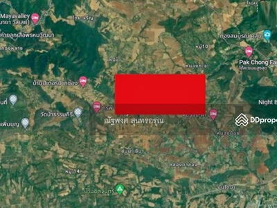 Guppy Tree Tunnel, Pak Chong, Nakhon Ratchasima, Thailand Guppy Tree Tunnel, Pak Chong, Nakhon Ratchasima, Thailand