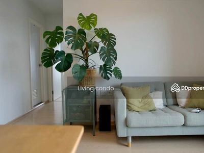 The Tree Sukhumvit 71-Ekamai, Bangkok, Thailand The Tree Sukhumvit 71-Ekamai, Bangkok, Thailand