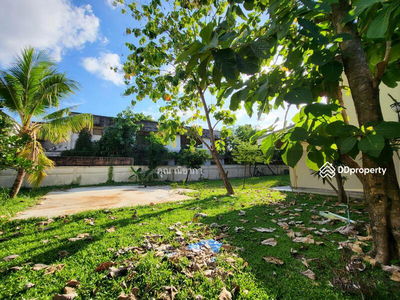 Single house for rent, On Nut 14, large house, 400 sq m., 600 sq m., Phatthanakan 38, wide garden, 4 bedrooms, 5 bathrooms, Bangkok, Thailand Single house for rent, On Nut 14, large house, 400 sq m., 600 sq m., Phatthanakan 38, wide garden, 4 bedrooms, 5 bathrooms, Bangkok, Thailand