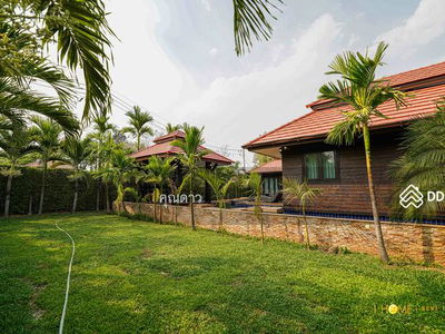 ASRP0314, Chiang Mai, Thailand ASRP0314, Chiang Mai, Thailand