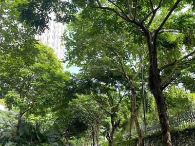 Ecolife Capitol, Vietnam Ecolife Capitol, Vietnam