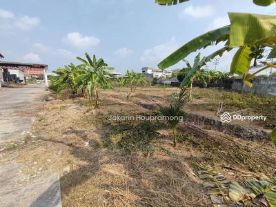 Land for rent Purple area, divided for rent, 1-4 rai, next to Setthakit Road 1, Om Noi, Krathum Baen, Samut Sakhon, Bangkok, Thailand Land for rent Purple area, divided for rent, 1-4 rai, next to Setthakit Road 1, Om Noi, Krathum Baen, Samut Sakhon, Bangkok, Thailand