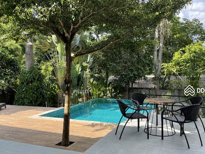 A1MG0412, Chiang Mai, Thailand A1MG0412, Chiang Mai, Thailand