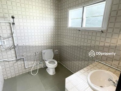 A5MG0123, Chiang Mai, Thailand A5MG0123, Chiang Mai, Thailand