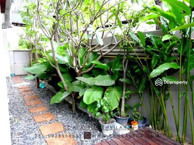 House For Rent Sukhumvit 53 Luxury Style House, Bangkok, Thailand House For Rent Sukhumvit 53 Luxury Style House, Bangkok, Thailand
