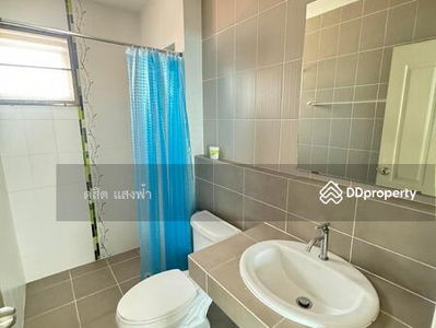 Single house for rent, House of Canary Village, Suan Suea, Sriracha, Chon Buri., Thailand Single house for rent, House of Canary Village, Suan Suea, Sriracha, Chon Buri., Thailand