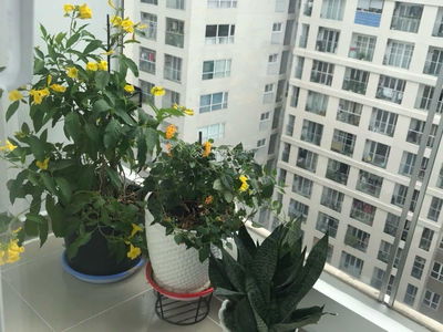 Sky Center, Vietnam Sky Center, Vietnam