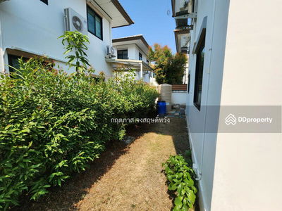 Single house for rent, decorated and ready to move in. Baan Fah Greenery Pinklao-Sai 5 160 sq m. 55 sq m, next to Main Kong Road, Nakhon Pathom, Thailand Single house for rent, decorated and ready to move in. Baan Fah Greenery Pinklao-Sai 5 160 sq m. 55 sq m, next to Main Kong Road, Nakhon Pathom, Thailand