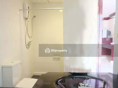 Large Studio of 50Sqm Patong Beach, Phuket, Thailand Large Studio of 50Sqm Patong Beach, Phuket, Thailand