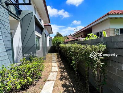 ASP0986, Chiang Mai, Thailand ASP0986, Chiang Mai, Thailand