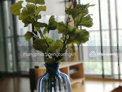 Noble Solo, Bangkok, Thailand Noble Solo, Bangkok, Thailand