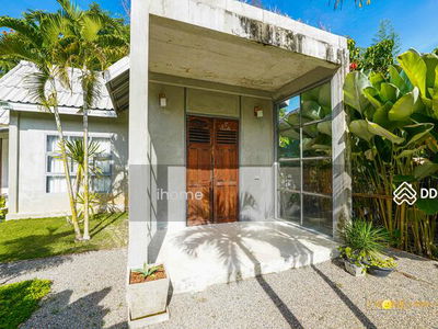 AMR0386, Chiang Mai, Thailand AMR0386, Chiang Mai, Thailand