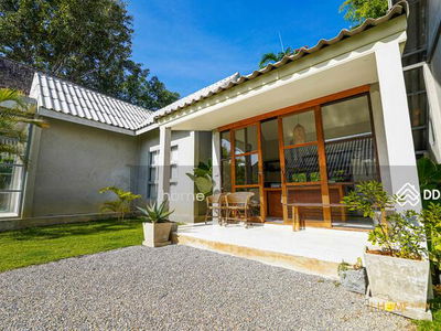 AMR0386, Chiang Mai, Thailand AMR0386, Chiang Mai, Thailand