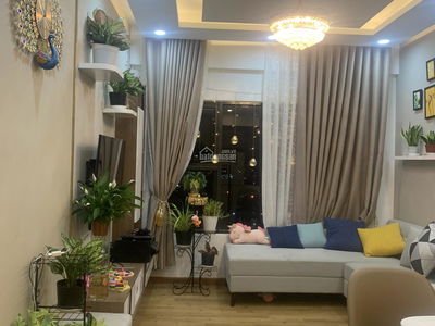 Flora Novia, Vietnam Flora Novia, Vietnam