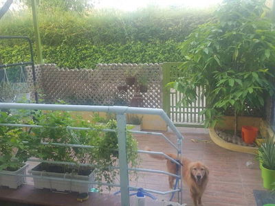 Biệt thự Galleria, Vietnam Biệt thự Galleria, Vietnam