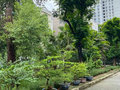 Жилье в Hanoi, Vietnam Жилье в Hanoi, Vietnam