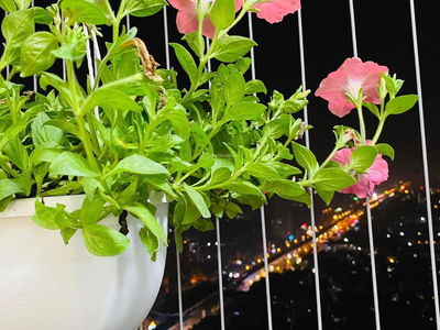 Goldmark City, Vietnam Goldmark City, Vietnam