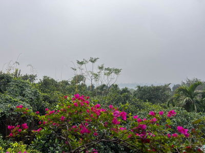 Gehäuse In Co Loa, Vietnam Gehäuse In Co Loa, Vietnam