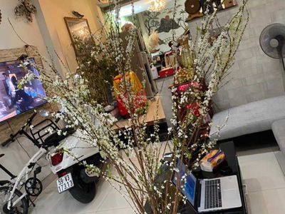 Logement dans Ho Chi Minh City, Vietnam Logement dans Ho Chi Minh City, Vietnam