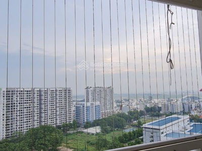 Orchard Garden, Vietnam Orchard Garden, Vietnam