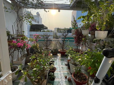 Жилье в Nha Be, Vietnam  Жилье в Nha Be, Vietnam