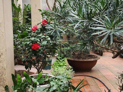 Жилье в Hanoi, Vietnam Жилье в Hanoi, Vietnam