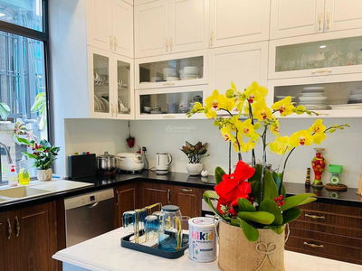 Lakeview City urban area, Vietnam Lakeview City urban area, Vietnam