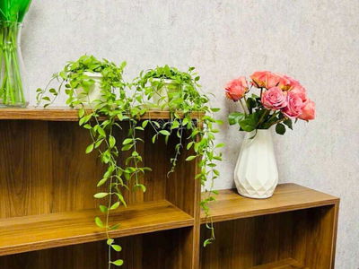 The Peak, Vietnam The Peak, Vietnam