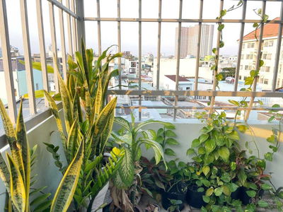 Logement dans Ho Chi Minh City, Vietnam Logement dans Ho Chi Minh City, Vietnam