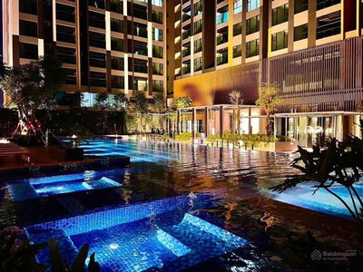 Zenity, Vietnam Zenity, Vietnam