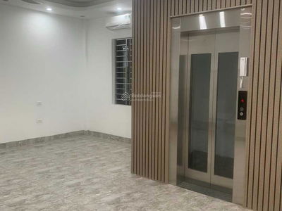 Iris Garden, Vietnam Iris Garden, Vietnam