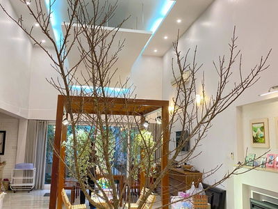 Alojamiento en Hanoi, Vietnam Alojamiento en Hanoi, Vietnam