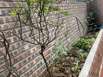 Logement dans Ha GJong, Vietnam Logement dans Ha GJong, Vietnam