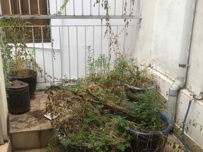 Gehäuse In Nha Be, Vietnam Gehäuse In Nha Be, Vietnam