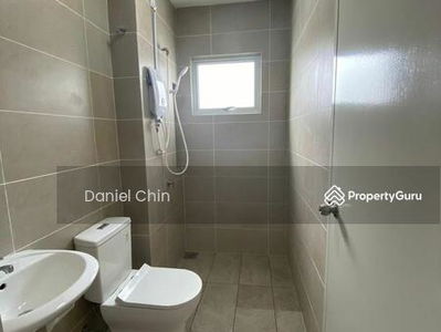 Rimbayu starling, Malaysia Rimbayu starling, Malaysia