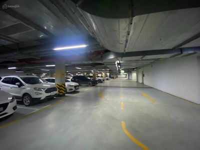 Iris Garden, Vietnam Iris Garden, Vietnam