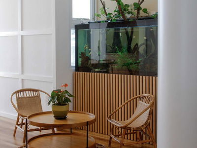 ST Moritz Pham Van Dong, Vietnam ST Moritz Pham Van Dong, Vietnam