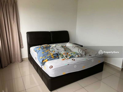 Koi Prima, Malaysia Koi Prima, Malaysia